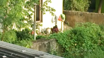 Fucked một con chó cái và phun ra sec nhat rất nhiều kiêm.
