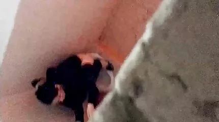 Cả ba lỗ của Carmen sẽ được đụ sec hay nhat bởi những con cu to cùng một lúc.